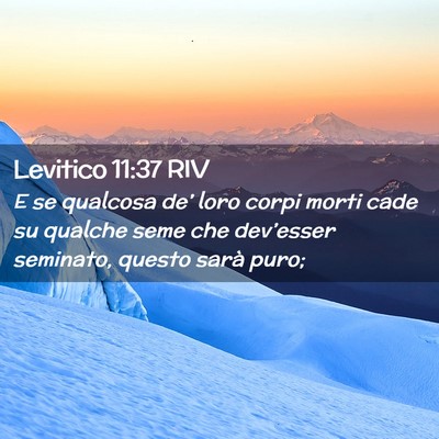 Picture 02 - Levitico 11:37 RIV - E se qualcosa de’ loro corpi morti cade su - Bible Verse Picture
