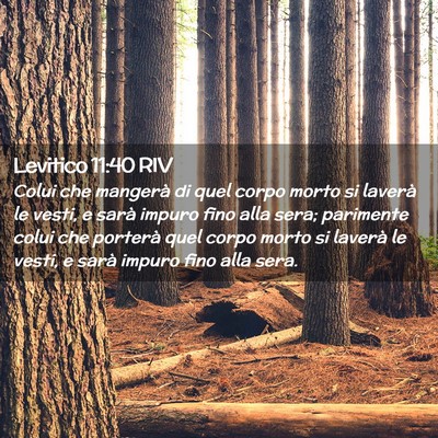 Picture 02 - Levitico 11:40 RIV - Colui che mangerà di quel corpo morto si laverà - Bible Verse Picture