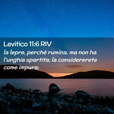Picture 02 - Levitico 11:6 RIV - la lepre, perché rumina, ma non ha l’unghia - Bible Verse Picture