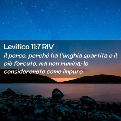Picture 02 - Levitico 11:7 RIV - il porco, perché ha l’unghia spartita e il - Bible Verse Picture