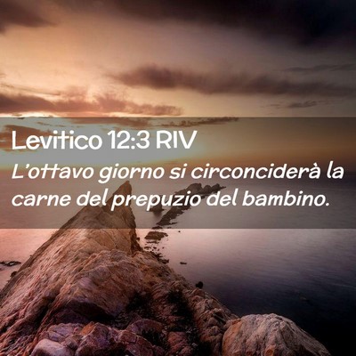 Picture 02 - Levitico 12:3 RIV - L’ottavo giorno si circonciderà la carne del - Bible Verse Picture