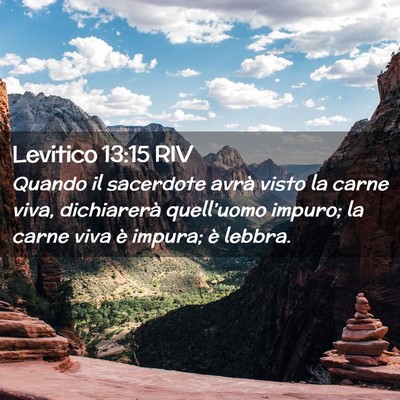 Picture 02 - Levitico 13:15 RIV - Quando il sacerdote avrà visto la carne viva, - Bible Verse Picture