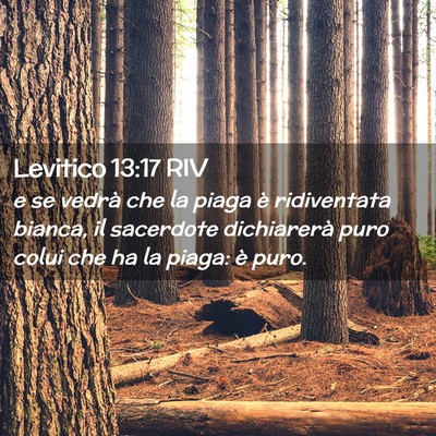 Picture 02 - Levitico 13:17 RIV - e se vedrà che la piaga è ridiventata bianca, - Bible Verse Picture