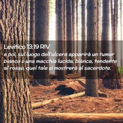 Picture 02 - Levitico 13:19 RIV - e poi, sul luogo dell’ulcera apparirà un tumor - Bible Verse Picture