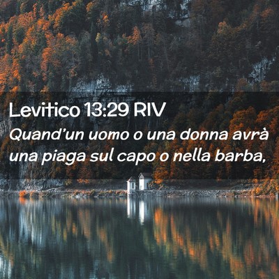 Picture 02 - Levitico 13:29 RIV - Quand’un uomo o una donna avrà una piaga sul - Bible Verse Picture