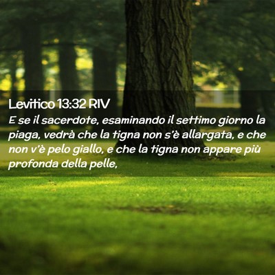 Picture 02 - Levitico 13:32 RIV - E se il sacerdote, esaminando il settimo giorno - Bible Verse Picture