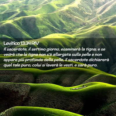 Picture 02 - Levitico 13:34 RIV - Il sacerdote, il settimo giorno, esaminerà la - Bible Verse Picture
