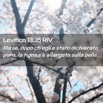 Picture 02 - Levitico 13:35 RIV - Ma se, dopo ch’egli e stato dichiarato puro, la - Bible Verse Picture
