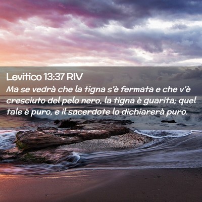 Picture 02 - Levitico 13:37 RIV - Ma se vedrà che la tigna s’è fermata e che - Bible Verse Picture