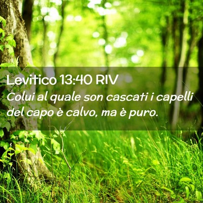 Picture 02 - Levitico 13:40 RIV - Colui al quale son cascati i capelli del capo è - Bible Verse Picture