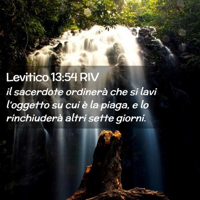 Picture 02 - Levitico 13:54 RIV - il sacerdote ordinerà che si lavi l’oggetto su - Bible Verse Picture