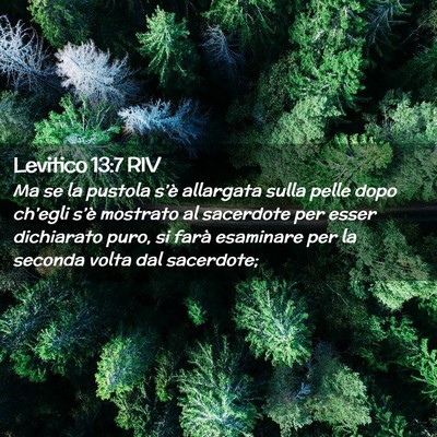 Picture 02 - Levitico 13:7 RIV - Ma se la pustola s’è allargata sulla pelle - Bible Verse Picture