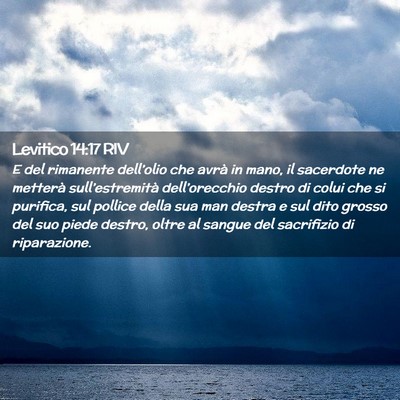 Picture 02 - Levitico 14:17 RIV - E del rimanente dell’olio che avrà in mano, il - Bible Verse Picture