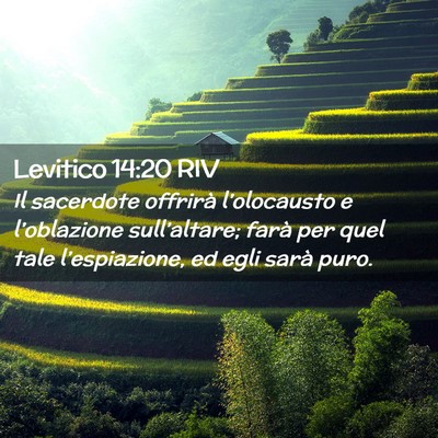 Picture 02 - Levitico 14:20 RIV - Il sacerdote offrirà l’olocausto e - Bible Verse Picture