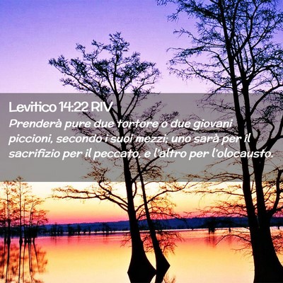 Picture 02 - Levitico 14:22 RIV - Prenderà pure due tortore o due giovani - Bible Verse Picture