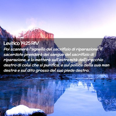 Picture 02 - Levitico 14:25 RIV - Poi scannerà l’agnello del sacrifizio di - Bible Verse Picture