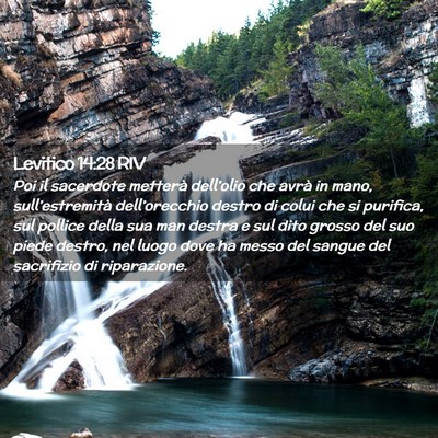 Picture 02 - Levitico 14:28 RIV - Poi il sacerdote metterà dell’olio che avrà - Bible Verse Picture