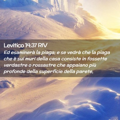 Picture 02 - Levitico 14:37 RIV - Ed esaminerà la piaga; e se vedrà che la piaga - Bible Verse Picture