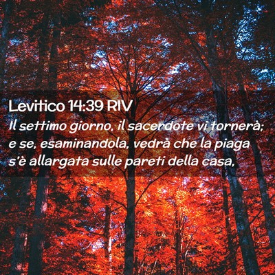 Picture 02 - Levitico 14:39 RIV - Il settimo giorno, il sacerdote vi tornerà; e - Bible Verse Picture