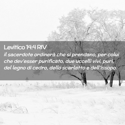 Picture 02 - Levitico 14:4 RIV - il sacerdote ordinerà che si prendano, per colui - Bible Verse Picture