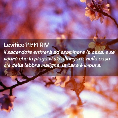 Picture 02 - Levitico 14:44 RIV - il sacerdote entrerà ad esaminare la casa; e se - Bible Verse Picture