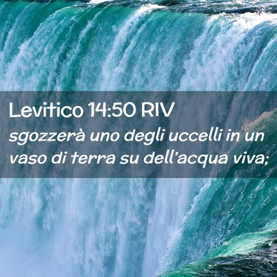Picture 02 - Levitico 14:50 RIV - sgozzerà uno degli uccelli in un vaso di terra - Bible Verse Picture
