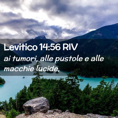 Picture 02 - Levitico 14:56 RIV - ai tumori, alle pustole e alle macchie - Bible Verse Picture