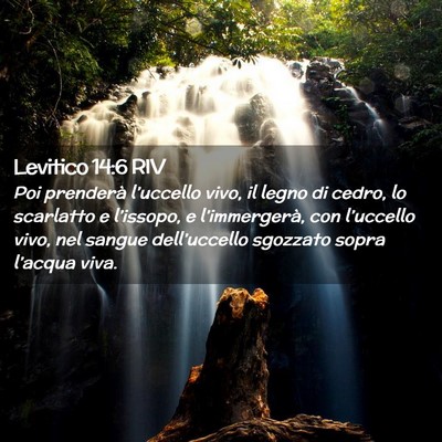 Picture 02 - Levitico 14:6 RIV - Poi prenderà l’uccello vivo, il legno di - Bible Verse Picture