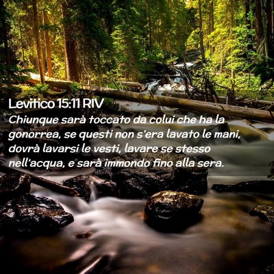 Picture 02 - Levitico 15:11 RIV - Chiunque sarà toccato da colui che ha la - Bible Verse Picture