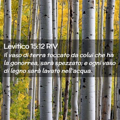 Picture 02 - Levitico 15:12 RIV - Il vaso di terra toccato da colui che ha la - Bible Verse Picture
