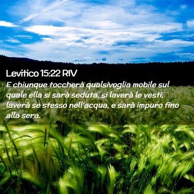 Picture 02 - Levitico 15:22 RIV - E chiunque toccherà qualsivoglia mobile sul - Bible Verse Picture