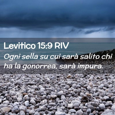 Picture 02 - Levitico 15:9 RIV - Ogni sella su cui sarà salito chi ha la - Bible Verse Picture