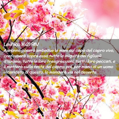 Picture 02 - Levitico 16:21 RIV - Aaronne poserà ambedue le mani sui capo del - Bible Verse Picture