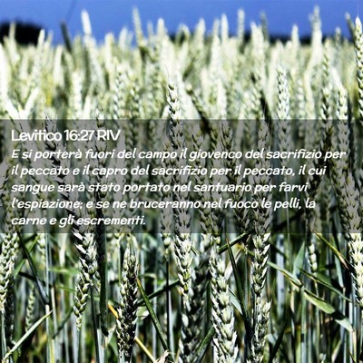 Picture 02 - Levitico 16:27 RIV - E si porterà fuori del campo il giovenco del - Bible Verse Picture