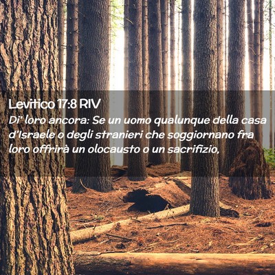 Picture 02 - Levitico 17:8 RIV - Di’ loro ancora: Se un uomo qualunque della - Bible Verse Picture