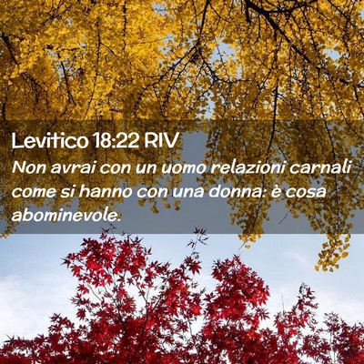 Picture 02 - Levitico 18:22 RIV - Non avrai con un uomo relazioni carnali come si - Bible Verse Picture