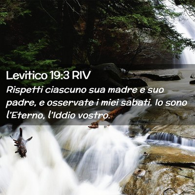 Picture 02 - Levitico 19:3 RIV - Rispetti ciascuno sua madre e suo padre, e - Bible Verse Picture