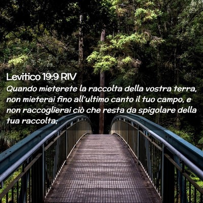 Picture 02 - Levitico 19:9 RIV - Quando mieterete la raccolta della vostra terra, - Bible Verse Picture