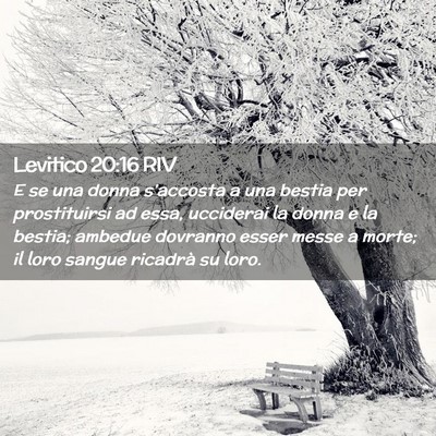 Picture 02 - Levitico 20:16 RIV - E se una donna s’accosta a una bestia per - Bible Verse Picture