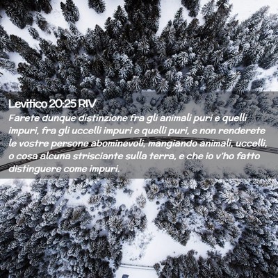 Picture 02 - Levitico 20:25 RIV - Farete dunque distinzione fra gli animali puri e - Bible Verse Picture