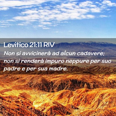 Picture 02 - Levitico 21:11 RIV - Non si avvicinerà ad alcun cadavere; non si - Bible Verse Picture