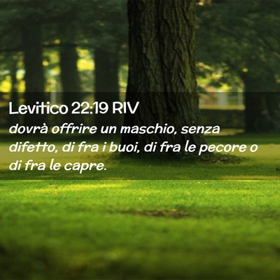 Picture 02 - Levitico 22:19 RIV - dovrà offrire un maschio, senza difetto, di fra - Bible Verse Picture