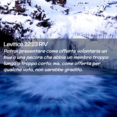 Picture 02 - Levitico 22:23 RIV - Potrai presentare come offerta volontaria un bue - Bible Verse Picture