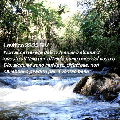 Picture 02 - Levitico 22:25 RIV - Non accetterete dallo straniero alcuna di queste - Bible Verse Picture