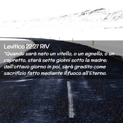 Picture 02 - Levitico 22:27 RIV - “Quando sarà nato un vitello, o un agnello, o - Bible Verse Picture