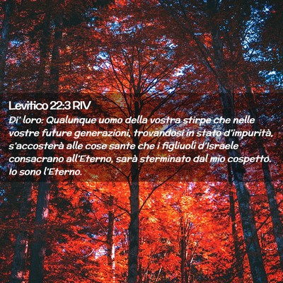 Picture 02 - Levitico 22:3 RIV - Di’ loro: Qualunque uomo della vostra stirpe - Bible Verse Picture