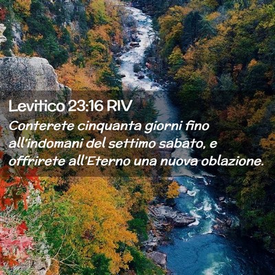 Picture 02 - Levitico 23:16 RIV - Conterete cinquanta giorni fino all’indomani - Bible Verse Picture