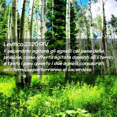 Picture 02 - Levitico 23:20 RIV - Il sacerdote agiterà gli agnelli col pane delle - Bible Verse Picture