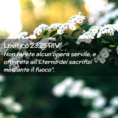 Picture 02 - Levitico 23:25 RIV - Non farete alcun’opera servile, e offrirete - Bible Verse Picture
