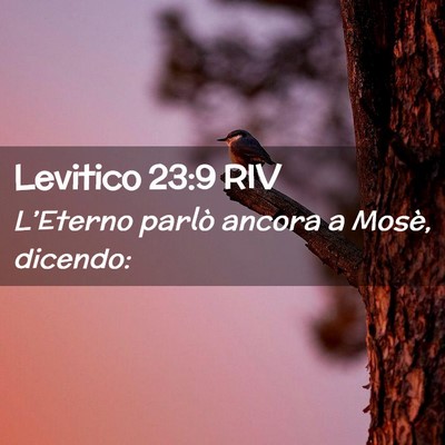Picture 02 - Levitico 23:9 RIV - L’Eterno parlò ancora a Mosè, - Bible Verse Picture